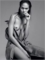 Joan Smalls Nude Pictures