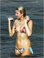 Paris Hilton Nude Pictures