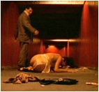 Monica Bellucci Nude Pictures