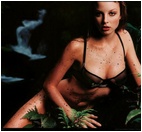 Rachel Nichols Nude Pictures