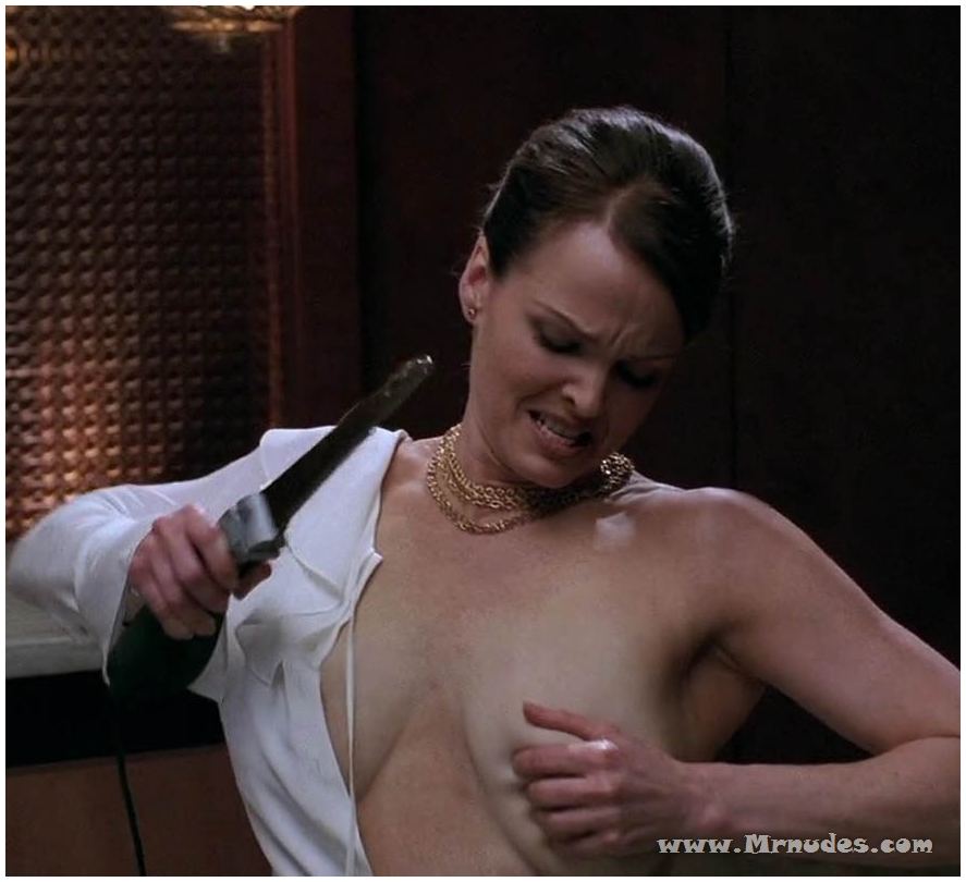 Dina Meyer Nudes