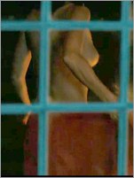 Jessica Szohr Nude Pictures