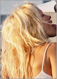 Pamela Anderson Nude Pictures