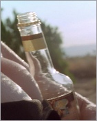 Elisabeth Shue Nude Pictures
