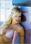 pamela-anderson_12.jpg - 135 KB