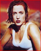 gillian-anderson_12.jpg - 99 KB