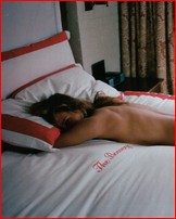 noot-seear_02.jpg - 162 KB