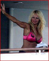 pamela-anderson_08.jpg - 161 KB