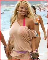 pamela-anderson_05.jpg - 185 KB