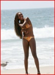 venus-williams_11.jpg - 128 KB