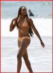 venus-williams_15.jpg - 132 KB